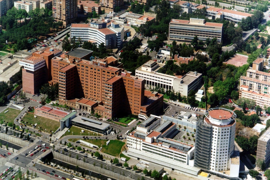 Университетский госпиталь Валь д'Эброн